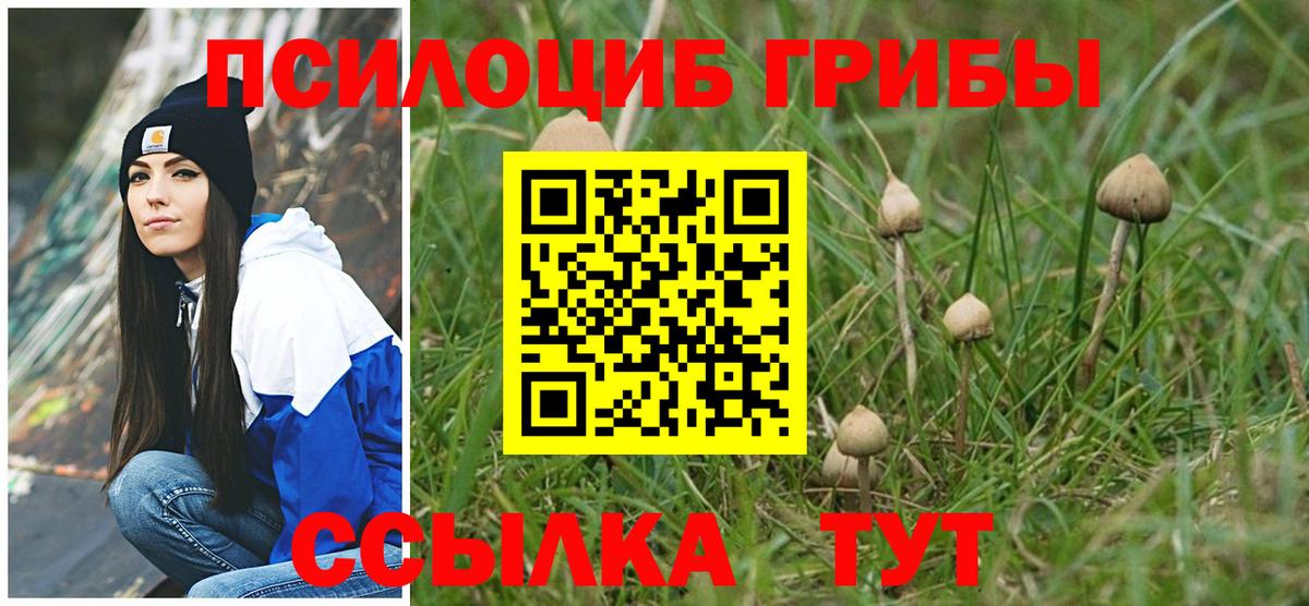 Галлюциногенные грибы Psilocybe  Вход с VPN  Электросталь 